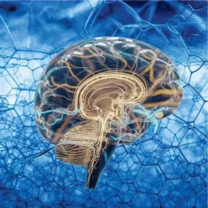 uso de redes neuronales