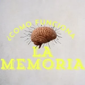 Qué es la memoria