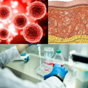 desarrollo de medicamentos