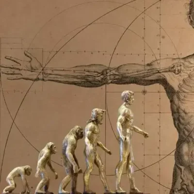 Qué es la evolución humana