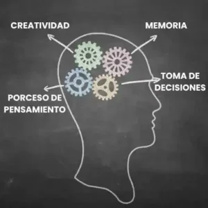 Procesos cognitivos y emocionales