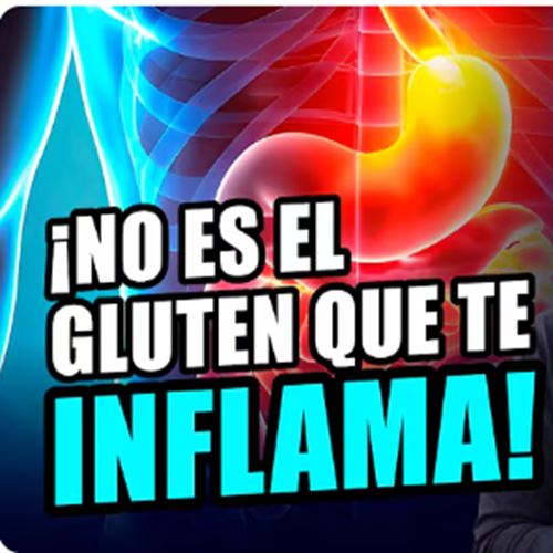 Por qué el gluten es inflamatorio